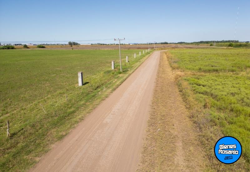Terrenos - Alvear - Venta