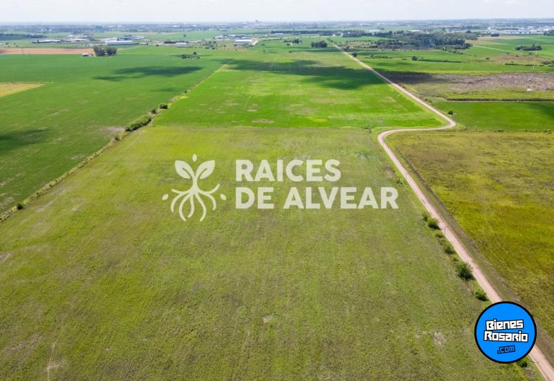 Terrenos - Alvear - Venta
