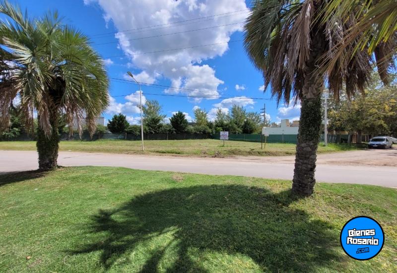 Terrenos - Roldan - Venta