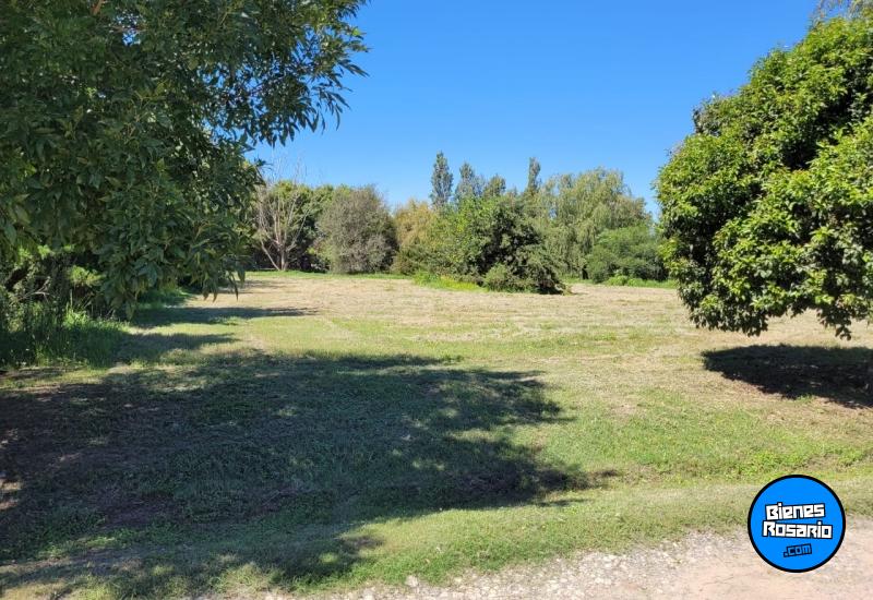 Terrenos - Roldan - Venta