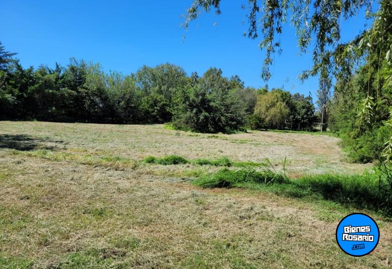 Terrenos - Roldan - Venta