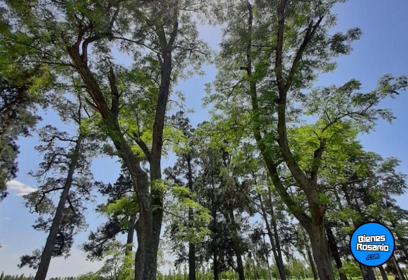 Terrenos - Rosario - Venta