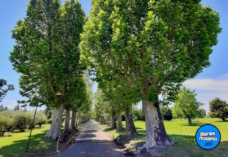 Terrenos - Rosario - Venta