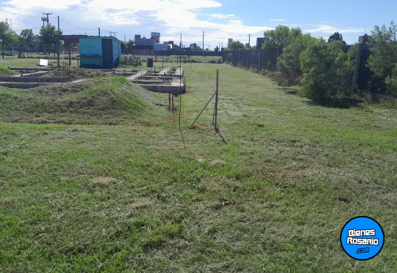 Terrenos - Roldan - Venta