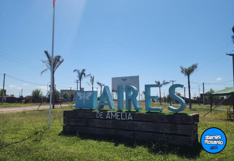 Terrenos - Villa Amelia - Venta