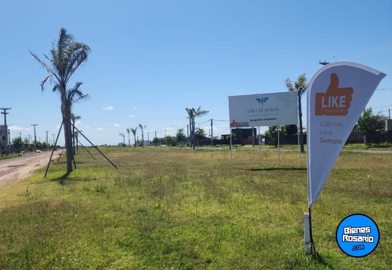 Terrenos - Villa Amelia - Venta
