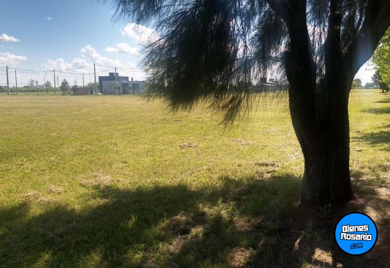 Terrenos - Roldan - Venta