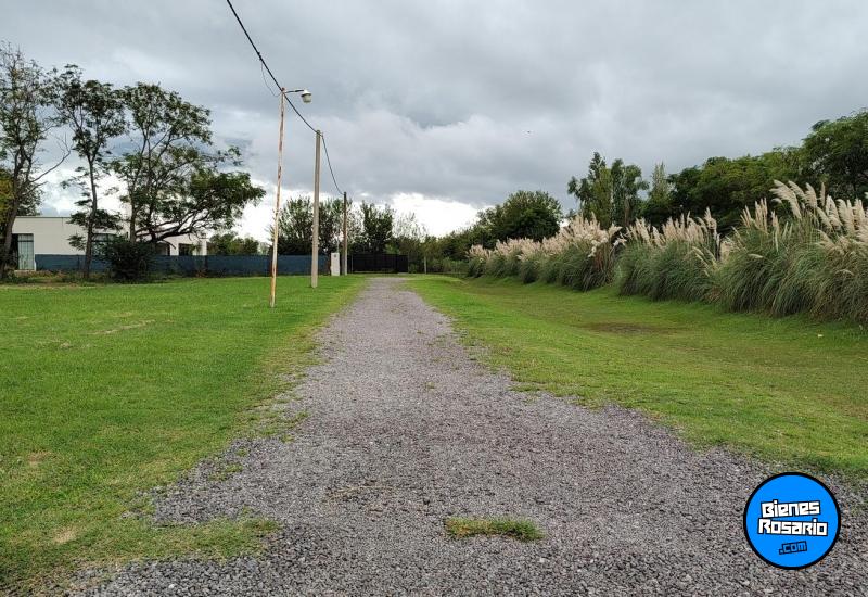 Terrenos - Roldan - Venta