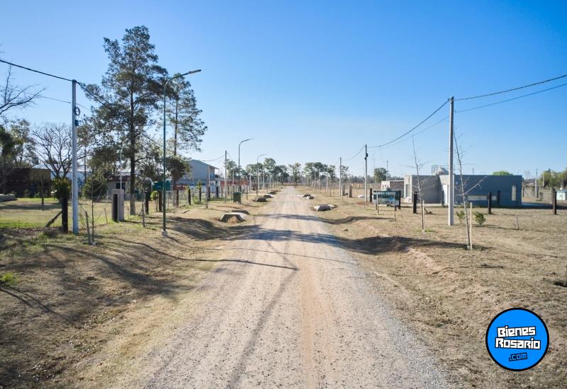 Terrenos - Piero - Venta