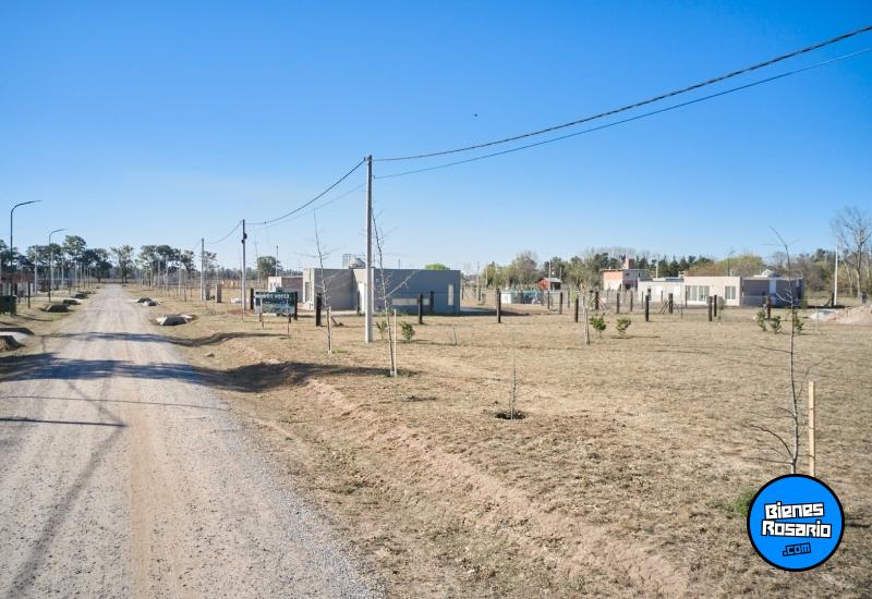 Terrenos - Piero - Venta