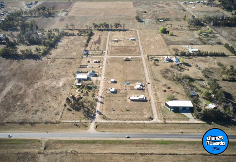 Terrenos - Piero - Venta