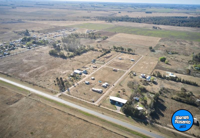 Terrenos - Piero - Venta