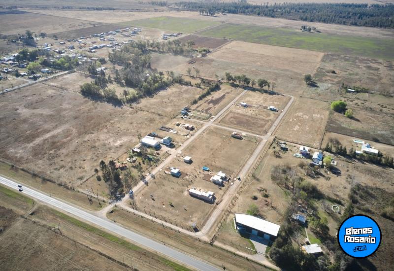 Terrenos - Piero - Venta