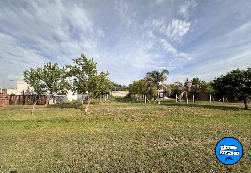 Terrenos - Andino - Venta