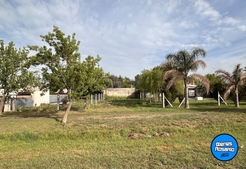 Terrenos - Andino - Venta