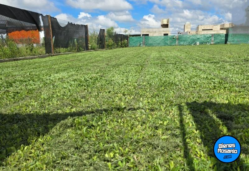 Terrenos - Rosario - Venta