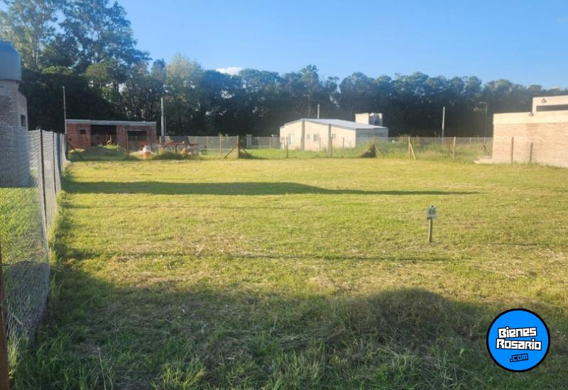 Terrenos - Alvarez - Venta