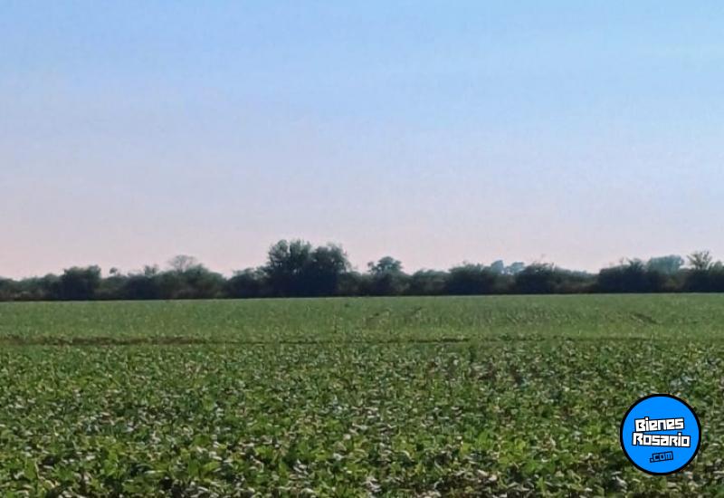Campos - Rosario De Tala ,est.tala - Venta
