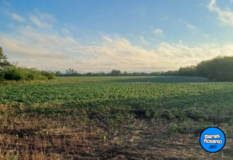 Campos - Rosario De Tala ,est.tala - Venta