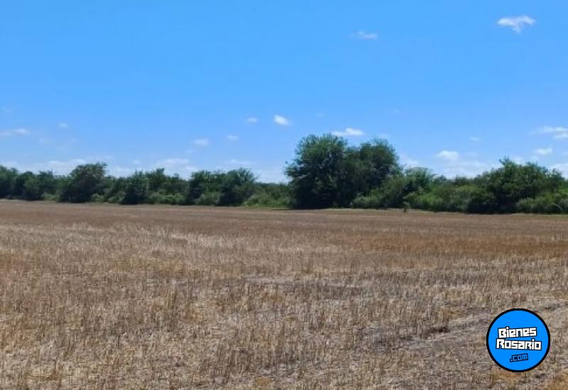 Campos - Rosario De Tala ,est.tala - Venta