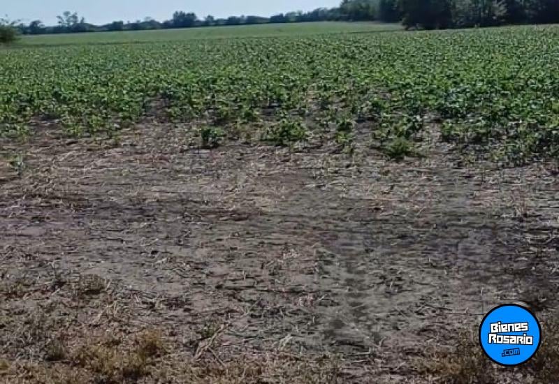 Campos - Rosario De Tala ,est.tala - Venta