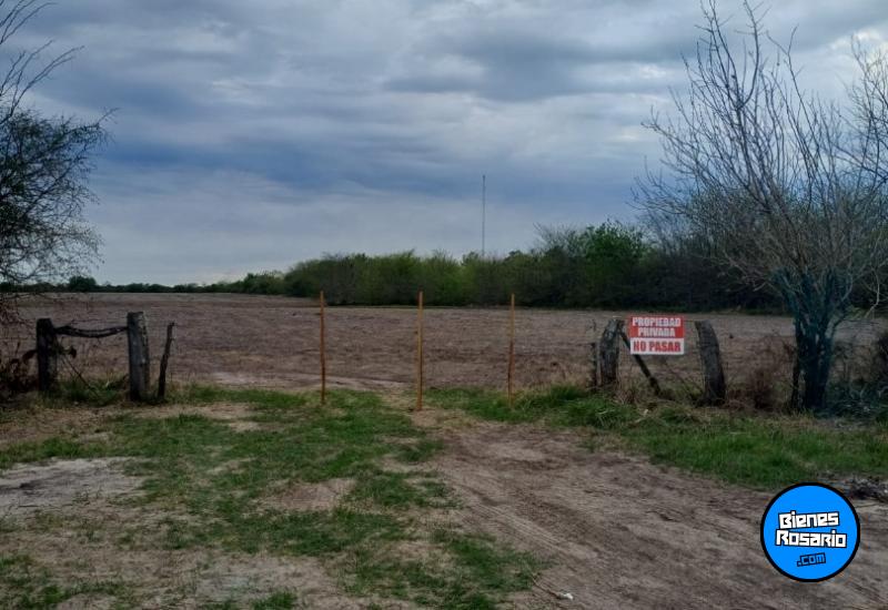 Campos - Rosario De Tala ,est.tala - Venta
