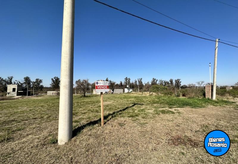 Terrenos - Oliveros - Venta