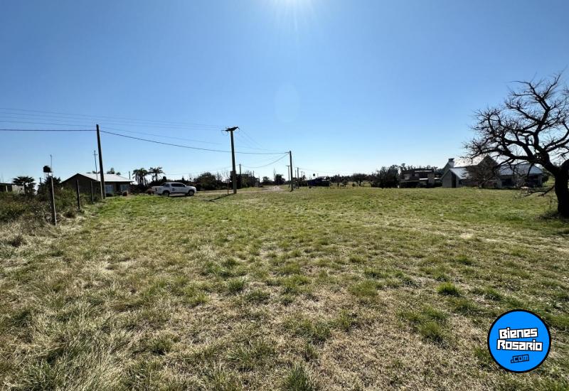 Terrenos - Oliveros - Venta