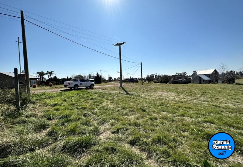 Terrenos - Oliveros - Venta