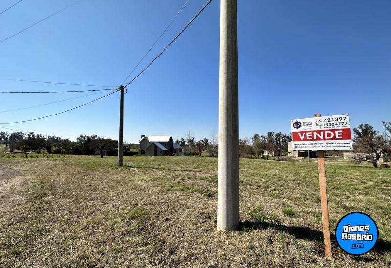 Terrenos - Oliveros - Venta