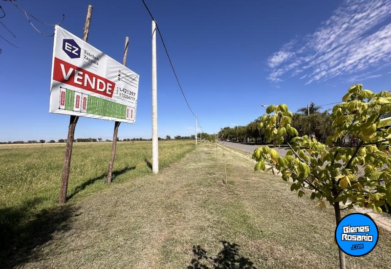 Terrenos - Aldao - Venta