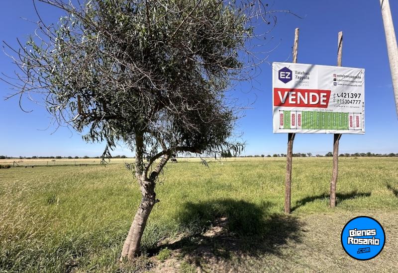 Terrenos - Aldao - Venta