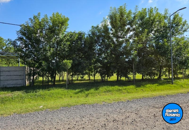 Terrenos - Funes - Venta
