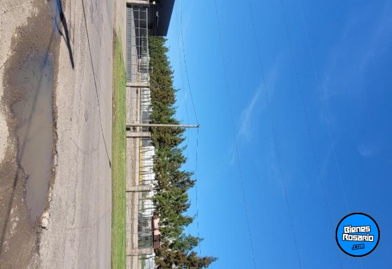 Galpones / Depósitos - Rosario -  Alquiler