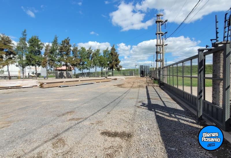 Galpones / Depósitos - Rosario -  Alquiler