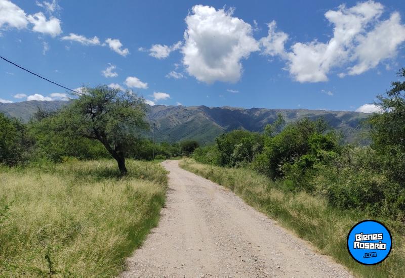 Terrenos - Otra Ciudad - Venta