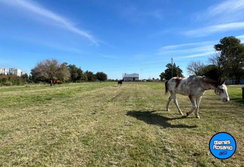Campos - San Lorenzo - Venta
