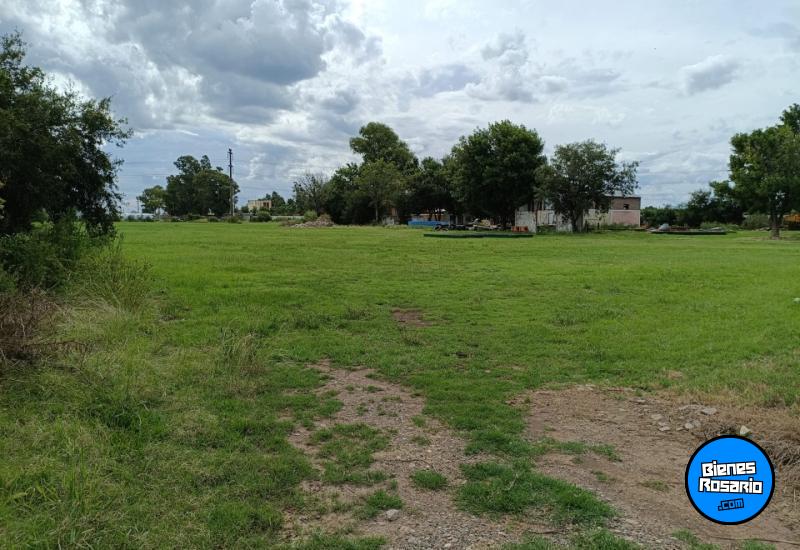Campos - San Lorenzo - Venta