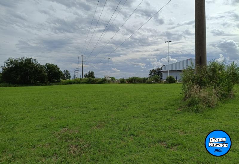 Campos - San Lorenzo - Venta