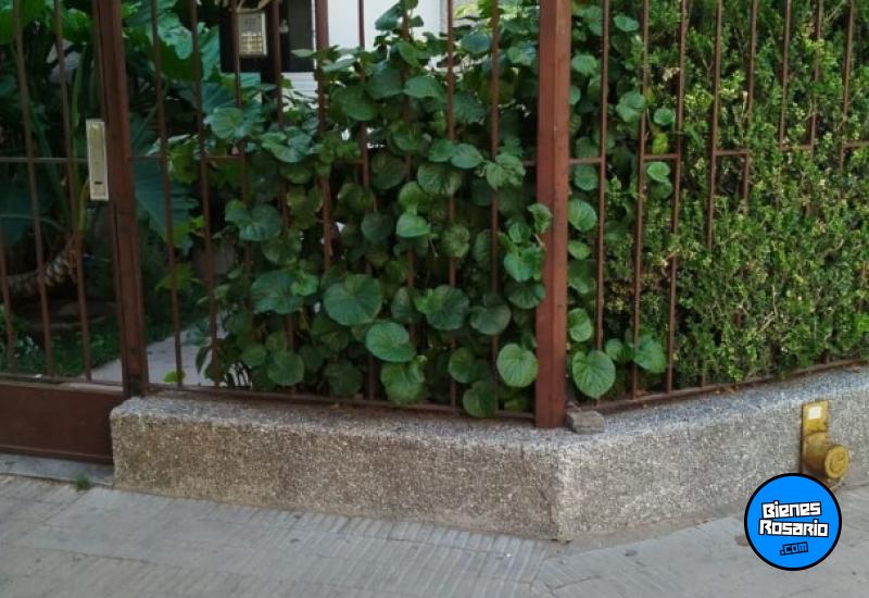 Departamentos - Rosario -  Alquiler