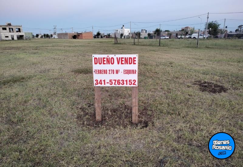 Terrenos - Alvear - Venta