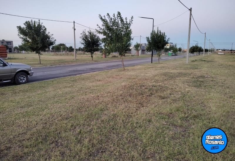 Terrenos - Alvear - Venta