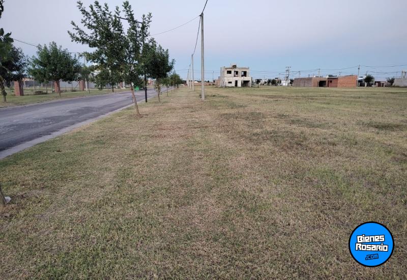 Terrenos - Alvear - Venta