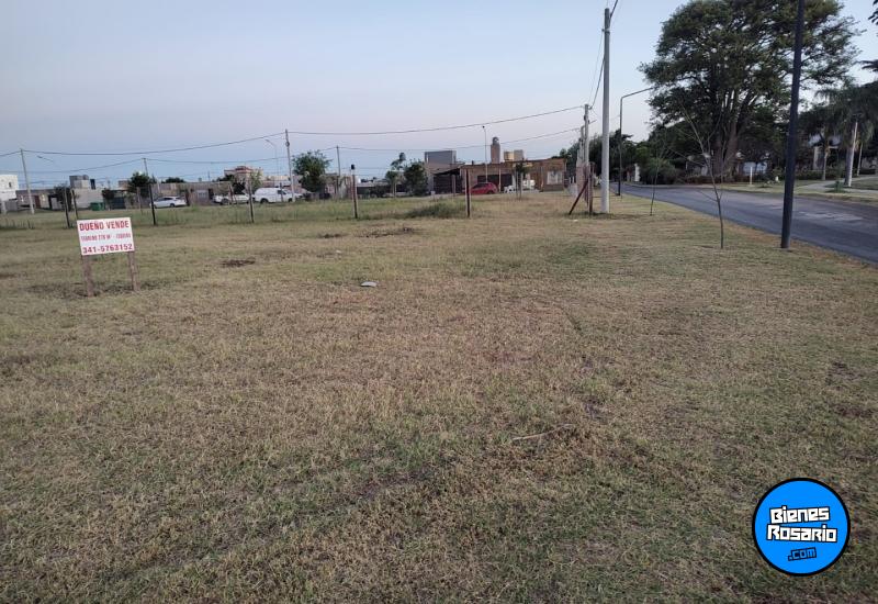 Terrenos - Alvear - Venta