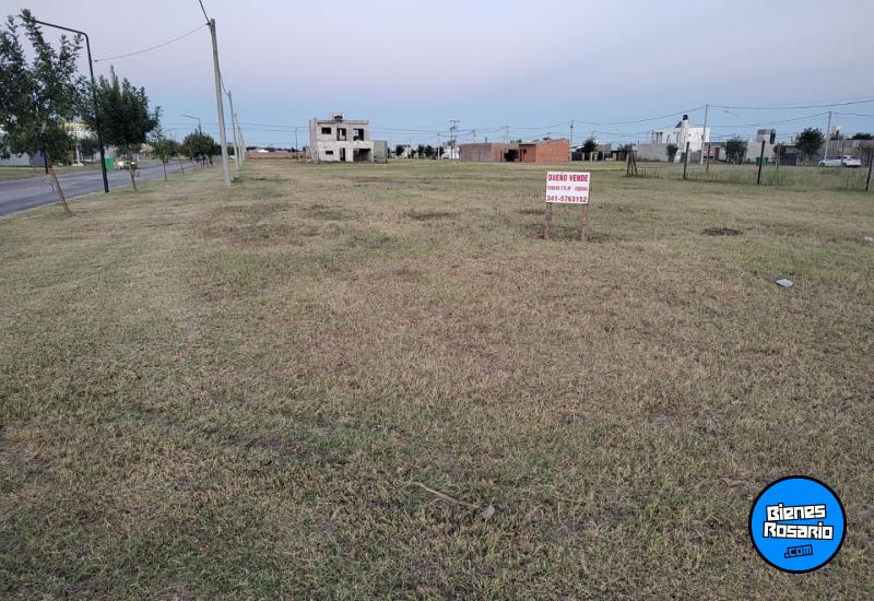Terrenos - Alvear - Venta