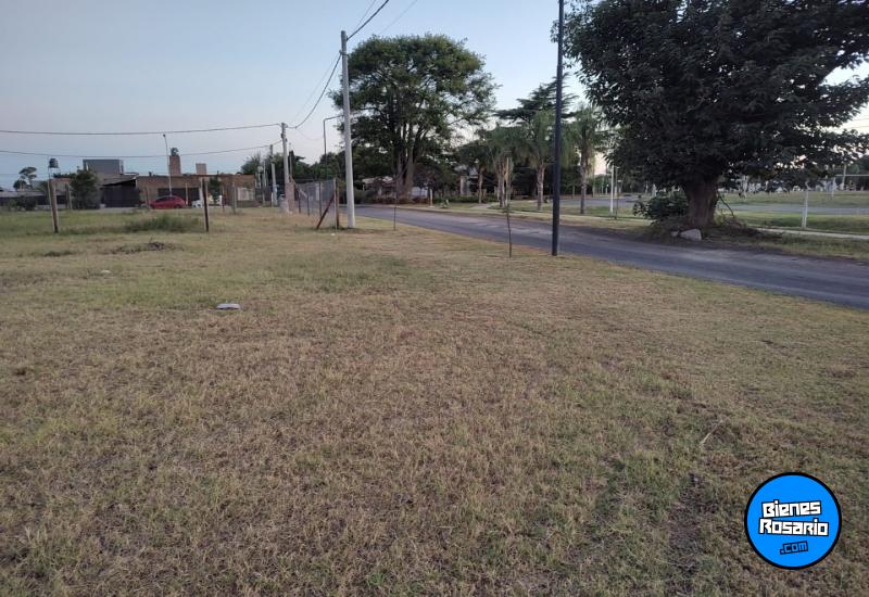 Terrenos - Alvear - Venta