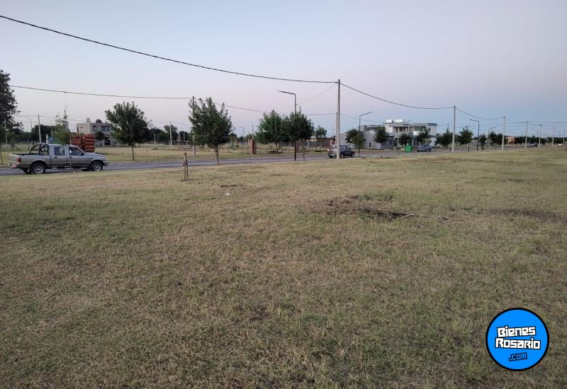 Terrenos - Alvear - Venta