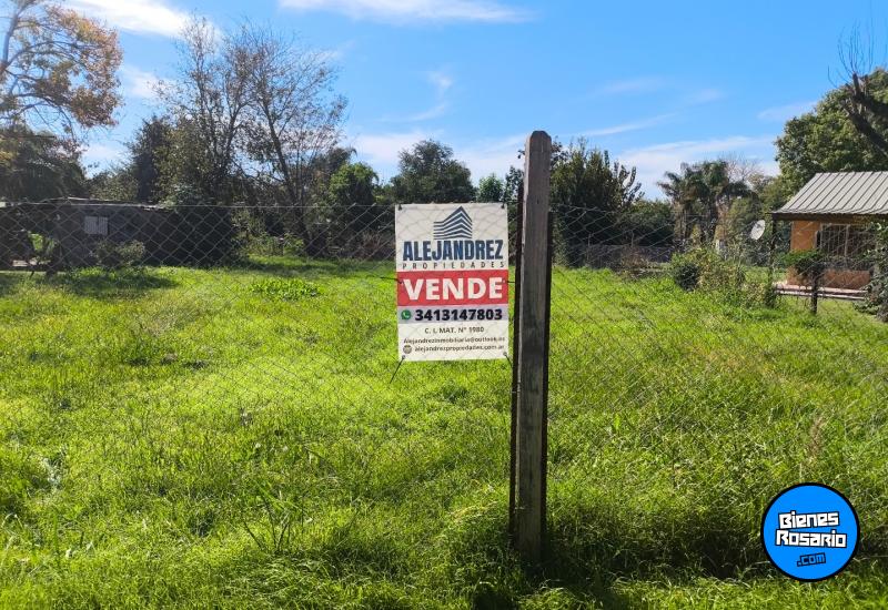 Terrenos - Andino - Venta