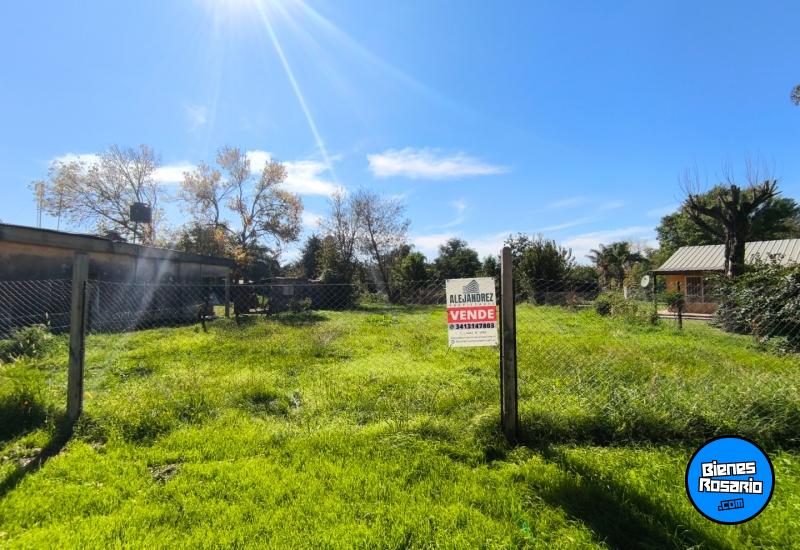 Terrenos - Andino - Venta
