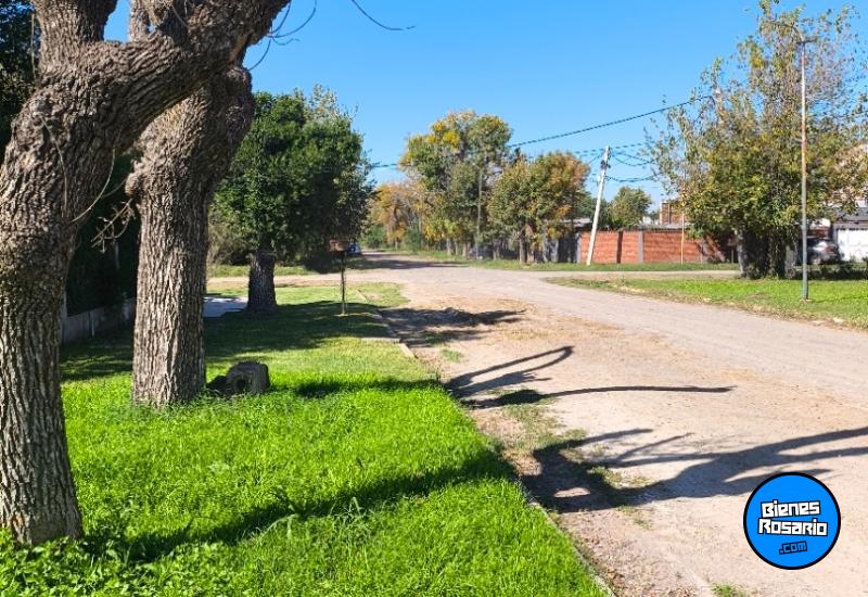 Terrenos - Andino - Venta